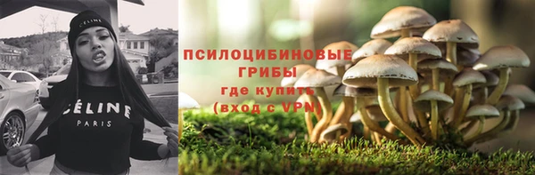 шишки Вуктыл