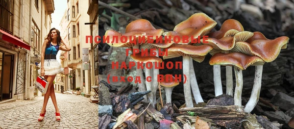 кокаин VHQ Гусев