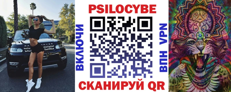 Псилоцибиновые грибы Psilocybe  купить   Заволжск 