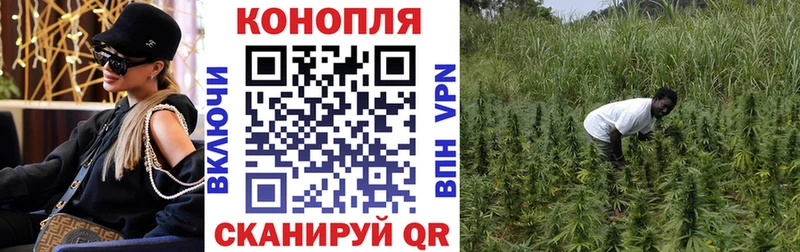 Конопля White Widow  Заволжск 